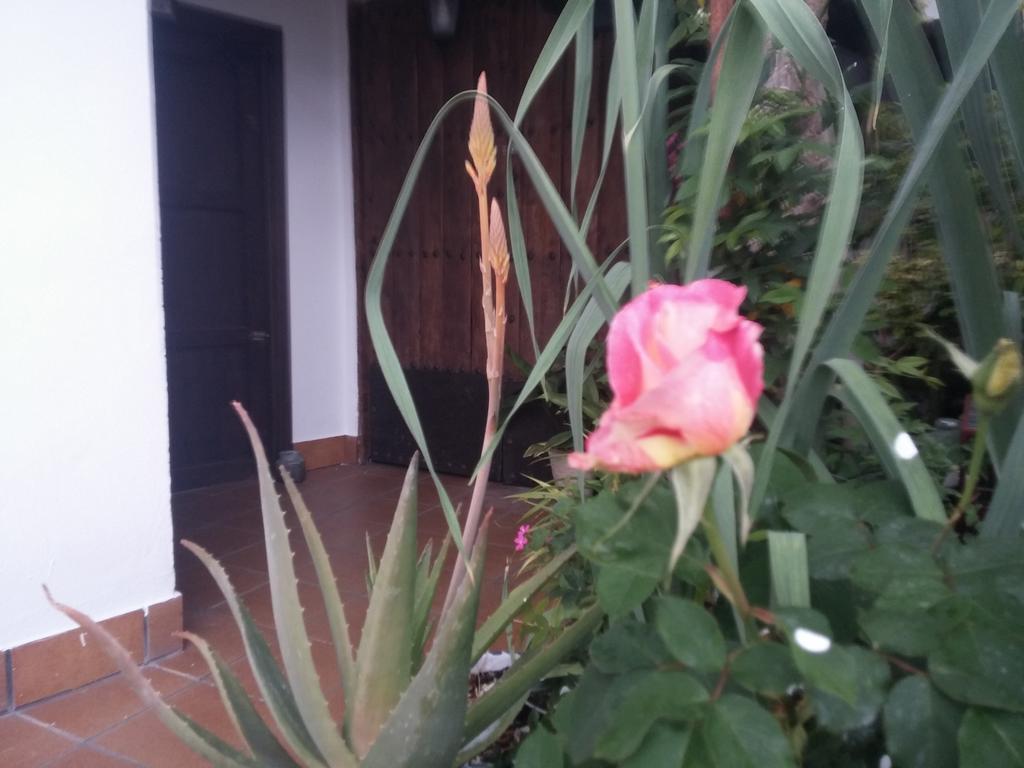 Balcon Del Velillos-"Rincon De Marcelo" Tozar Kültér fotó