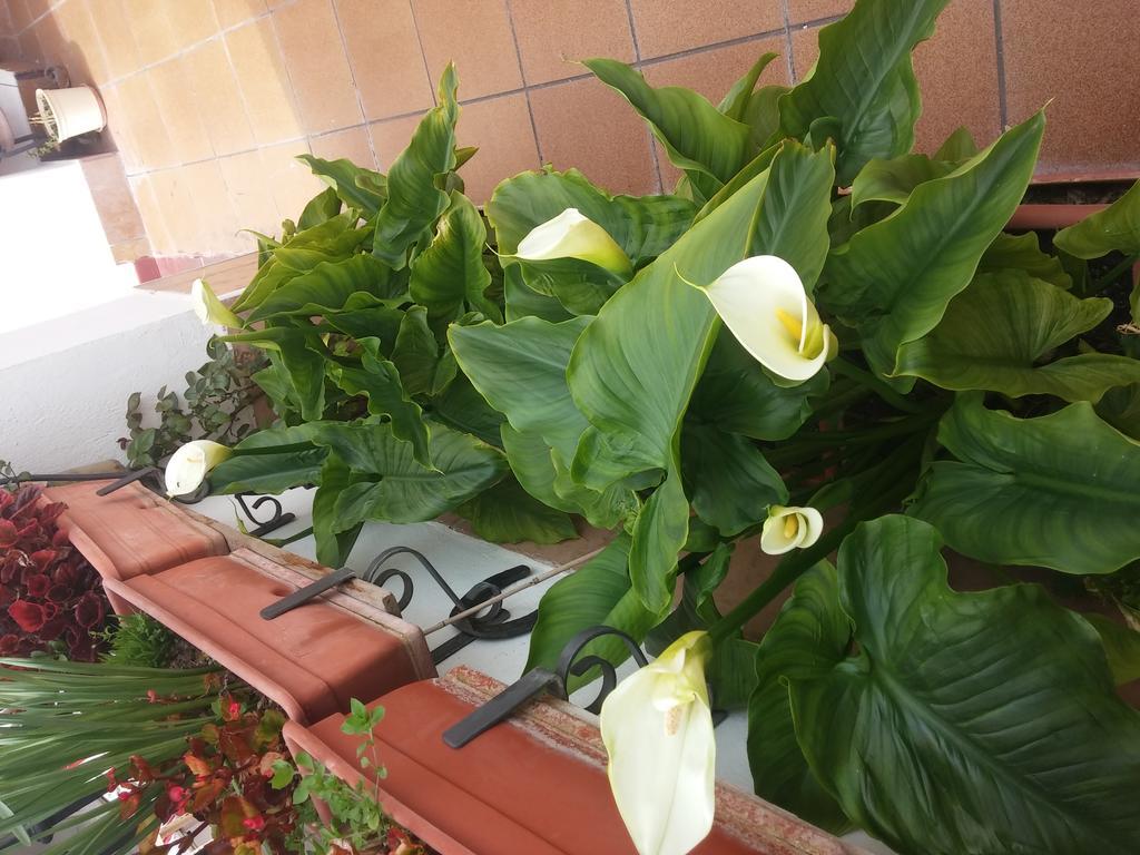 Balcon Del Velillos-"Rincon De Marcelo" Tozar Kültér fotó
